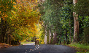 heading into autumn